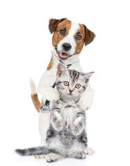 Sticker - Funny jack russell terrier wearing like a doctor with stethoscope on his neck hugs tiny kitten. isolated on white background