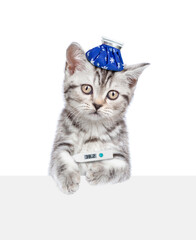 Poster - Sad sick kitten with ice bag or ice pack on his head holds a thermometer under the paw looks above empty white banner. Isolated on white background