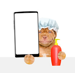 Aufkleber - Mastiff puppy wearing shower cap holds bottle of fleas shampoo and big smartphone with white blank screen in it paw. isolated on white background