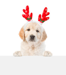 Aufkleber - Golden retriever puppy dressed like santa claus reindeer  Rudolf looking above empty white banner. isolated on white background