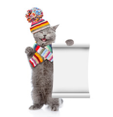 Poster - Happy cat wearing knitted scarf and warm woolen hat with pompon shows blank list. isolated on white background