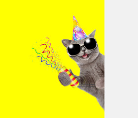 Aufkleber - Happy cat wearing sunglasses and party cap holds exploding firecracker and looks from behind empty white banner. Isolated on yellow background