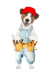 Poster - Funny Jack russell terrier puppy wearing red cap and denim overalls with tool belt looks at camera. isolated on white background