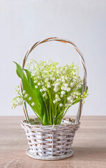 Wall Mural - Happy May Day greeting card concept; Bouquet of lilies-of-the valley in a white basket on a wooden table and white background