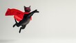 Superhero Cat Flying in color Cape