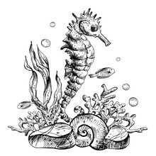 Underwater World Clipart With Sea Animals Seahorse, Starfish, Shells, Coral And Algae. Graphic Illustration Hand Drawn In Black Ink. Composition EPS Vector.