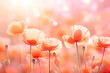 Red poppies close-up. Abstract blurred background of a poppy field