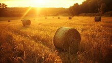 Harvested Field With Straw Bales In The Rays Of The Setting Sun. Hay Bales In The Field At Sunset.  