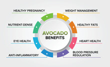Avocado Health Benefits Vector Icons Set Infographic Illustration Background Poster. Healthy Fruit.