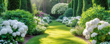 Panoramic view of the beautiful coniferous garden with blooming hydrangeas.