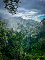 clouds and rising mist over a river valley in the nyungwe mountains indigenous rainforests (congo-ni
