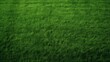 Vibrant fresh green grass texture background for football field, soccer field, and team sports