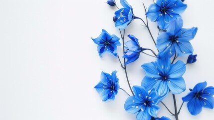 Poster - Blue flowers create design on white background.