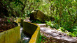 © Iryna - Levada irrigation canal. Hiking in Madeira. Narrow path next to the levada. View from Levada do Norte on the portuguese island of Madeira. Spring in Madeira.