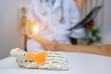 foot bone focus picture An orthopedic surgeon or therapist is showing a foot bone model and explaining to a patient the foot bone problems. health care concept