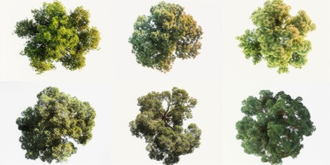 Poster - A group of trees suspended in mid-air. Can be used to depict surreal or dreamlike landscapes