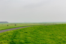 Bicycle Lane And Walkway, Green Grass Meadow On The Dyke Under Cloudy Sky, Dike Between Polder Land And North Sea With Fog Or Mist In The Morning, Dutch Wadden Sea Island, Terschelling, Netherlands.