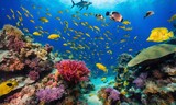 Fototapeta Do akwarium - Animals of the underwater sea world. Ecosystem. Colorful tropical fish.