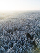 Snow-covered Forest at sunset seen from above