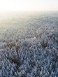 Snow-covered Forest at sunset seen from above