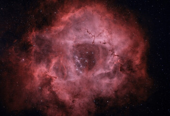 rosette nebula