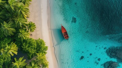 Wall Mural - Tropical beach birdview