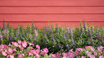 Wall Mural - outdoor flowers garden with red wooden wall