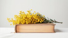 A Book With Yellow Mimosa Flowers