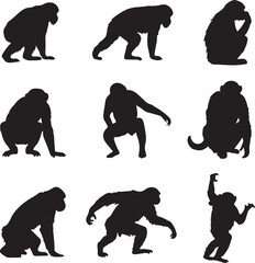chimpanzee silhouette