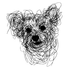 Messy line drawing of a poodle dog's face