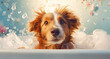 Um adorável cachorro tomando banho