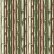 design bamboo canes decoration