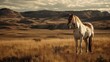Majestic Horse in Wild Plains
