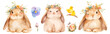 Easter bunny wearing a flowers crown, Colorful watercolor cute rabbit toy isolated on white background. Celebration Illustration set and Spring decorations. Cut out PNG on transparent background.
