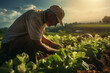 A farmer tending to crops in a sunlit field, highlighting the hard work and dedication required in agriculture. Generative Ai.