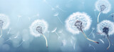 Fototapeta Dmuchawce - Dandelions  on a blur  background , dandelion Flight  , Feelings card , joy, condolence, grieving,  loss, support, funerals

