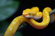 A striking yellow serpent slithers along a branch, its scaled body blending into the surrounding foliage, embodying the wild and untamed beauty of nature