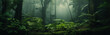 Background Deep forest tropical jungles of Southeast Asia with fog. Mystical amazon banner fantasy backdrop, Realistic nature rainforest