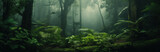 Fototapeta Las - Background Deep forest tropical jungles of Southeast Asia with fog. Mystical amazon banner fantasy backdrop, Realistic nature rainforest