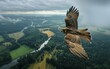 Majestic hawk soaring high, detailed wings against lush landscape and cloudy skies.
