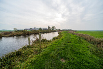 Wall Mural - The Winkel river during the fall, the Netherlands