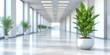Modern Corporate Elegance: A Bright and Spacious Office Hallway Accentuated with Lush Green Potted Plants, Generative AI