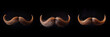 Luxurious old school style men's mustache with gray streaks isolated on a black background