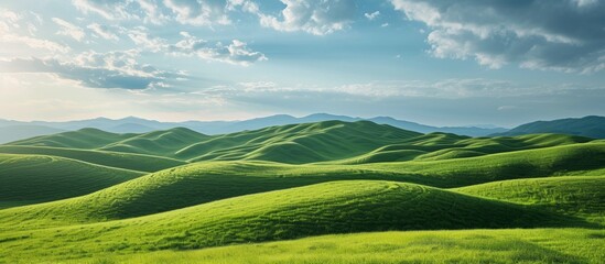 Wall Mural - Green grass fields placed on smooth hills under a blue sky.