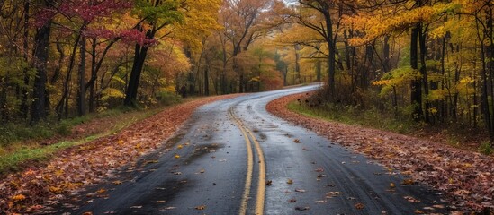 Wall Mural - Autumn hues on the road at Three Island Crossing State Park.