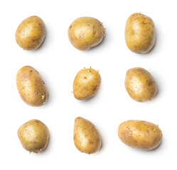 Wall Mural - Potato collection isolated on white