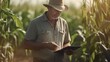 © CStock - Modern caucasian farmer in a corn field using a digital tablet