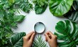 a researcher's hand is researching plants with a magnifying glass