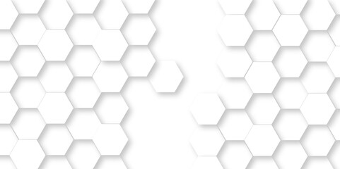 White Hexagonal Background. Luxury White Pattern. Vector Illustration. 3D Futuristic abstract honeycomb mosaic white background. geometric mesh cell texture. modern futuristic wallpaper.