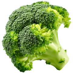 Wall Mural - Broccoli on isolated background